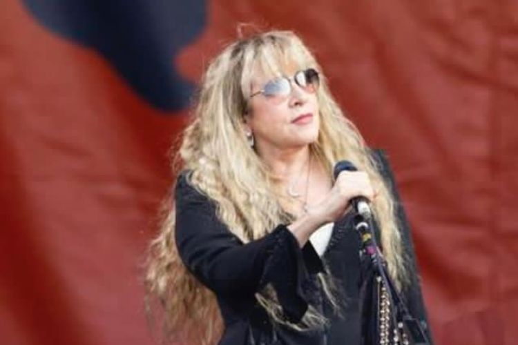 Penyanyi Stevie Nicks