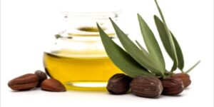 Manfaat Jojoba Oil Untuk Kesehatan Kulit Dan Rambut