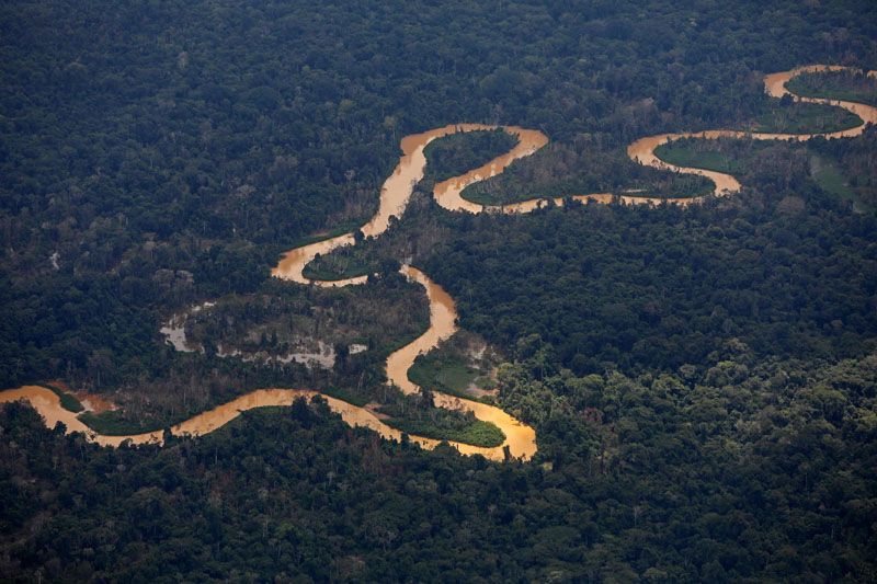 Sebuah Sungai Amazon Yang Memiliki Hewan Predator