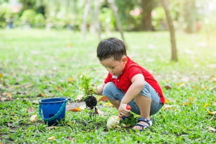 Cara Mengatasi Sikap Anak Yang Introvert