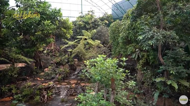 Dehakim Aviary