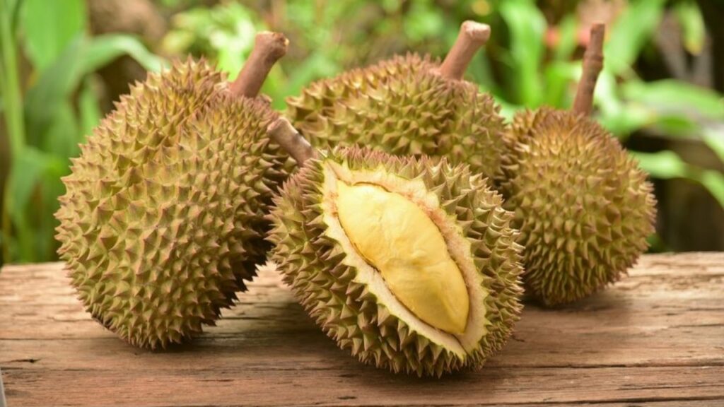 Durian Lokal Indonesia