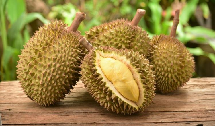 Imbas Buruk Kebanyakan Konsumsi Durian