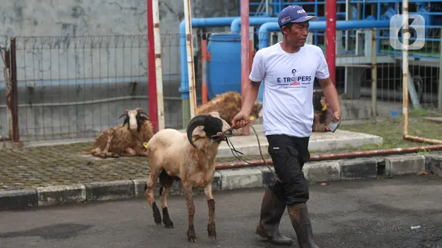 Penjelasan Pahala Ikut Menyumbangkan Hewan Kurban