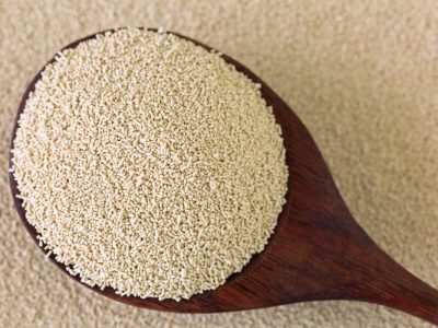Produk Ragi Merupakan Bahan Tambahan Pada Makanan