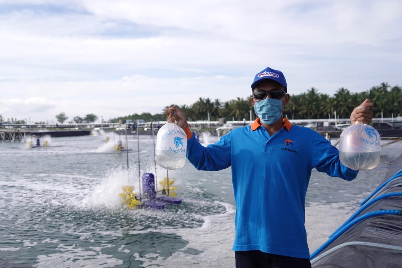 Teknologi Hormon Analog Inovasi Baru Budidaya Perairan