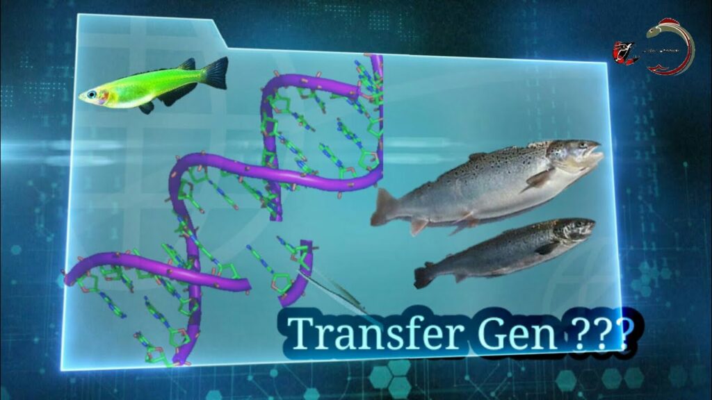 Teknologi Transfer Gen