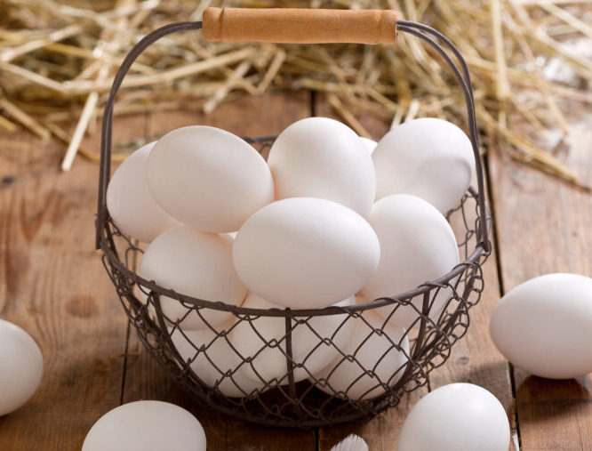 Telur Ayam Kampung