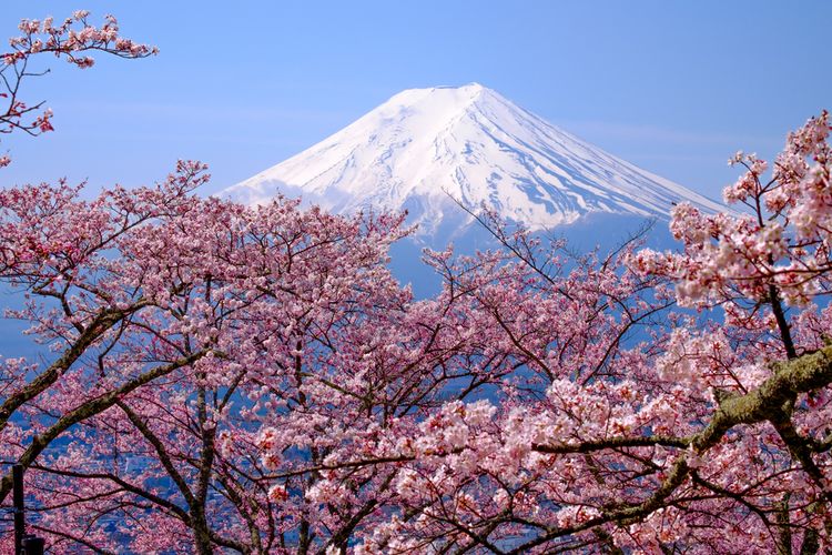 Gunung Fuji Menjadi salah Satu Wisata Favorit Di Jepang