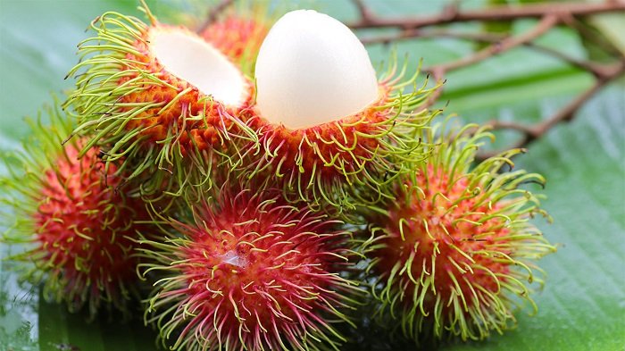 Buah Rambutan Bermanfaat Untuk Pencernaan