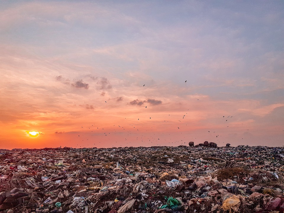 Dampak Negatif Plastik Terhadap Lingkungan