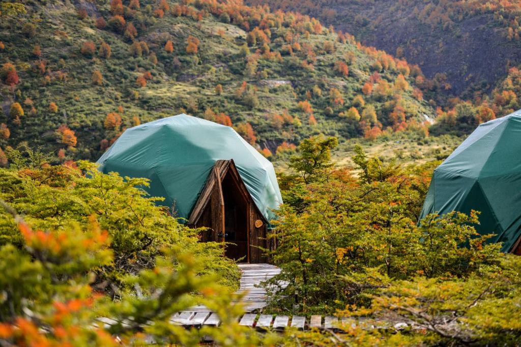 Menjelajahi Keindahan Alam Taman Patagonia