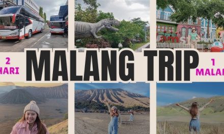 Kota Malang: Harmoni Sejuk Alam, Sejarah, Dan Kreativitas Abadi