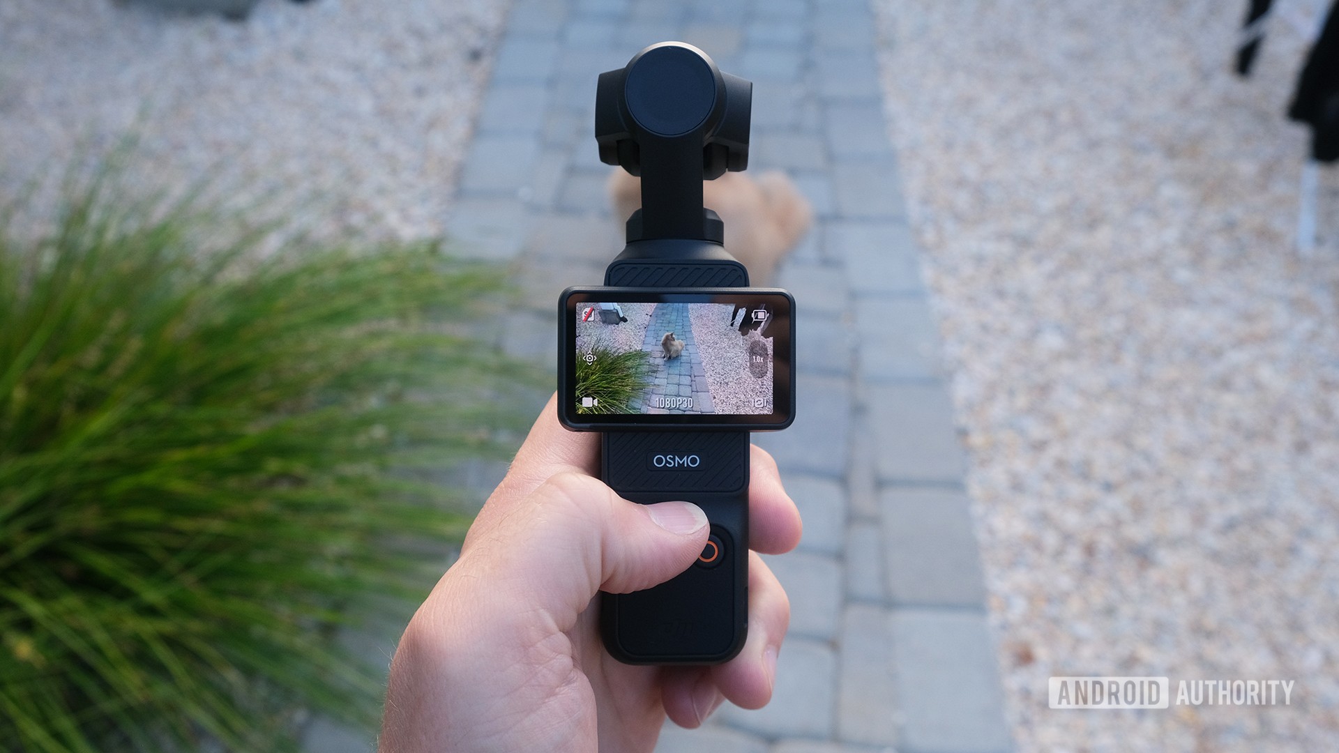 DJI Osmo Pocket