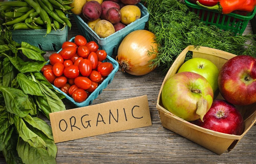 Jenis Sayur Dan Buah Organik Nyatanya Lebih Menyehatkan