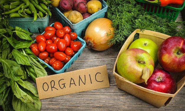 Jenis Sayur Dan Buah Organik Nyatanya Lebih Menyehatkan