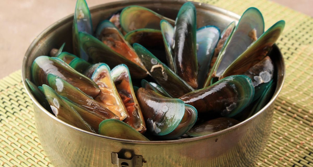 Kerang Hijau Termasuk Kelezatan Laut Yang Bergizi