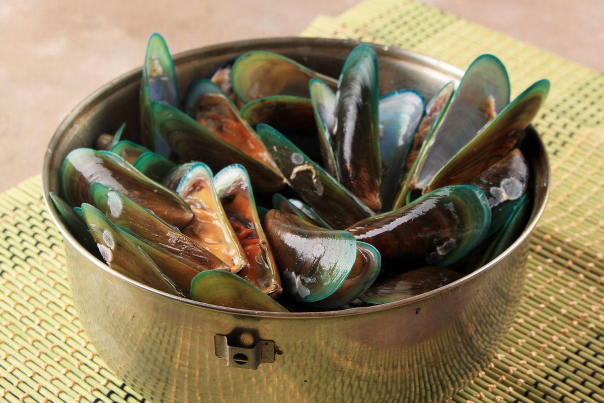 Kerang Hijau
